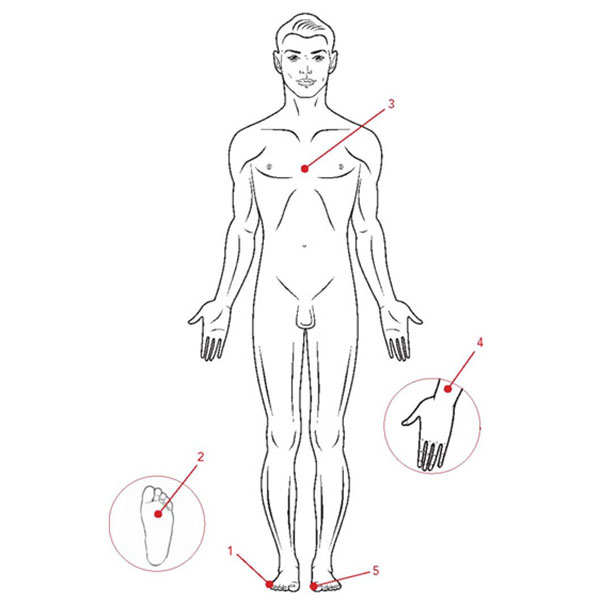 Complete five point circuit against fear, anxiety & panic