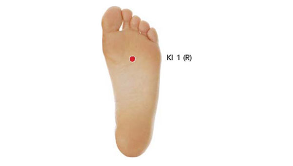 Kidney 1