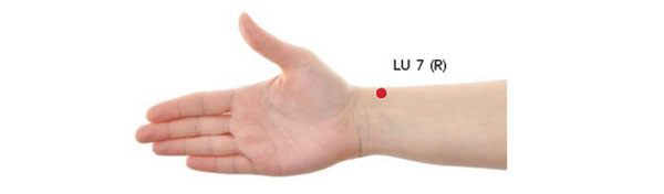 Lung 7