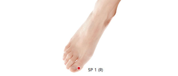 Spleen 1